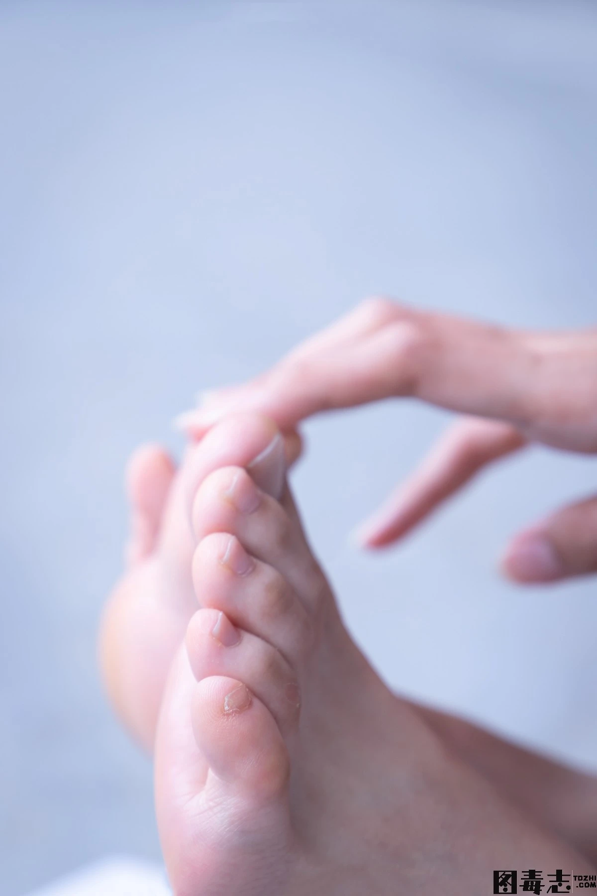 [BoBoSocks袜啵啵] 限定作品002 泡芙- AJ、白色棉质船袜、裸足-光影社区