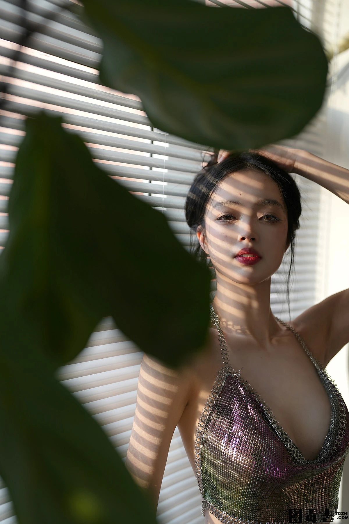 [徐珺大哥] 彩虹光辉-光影社区