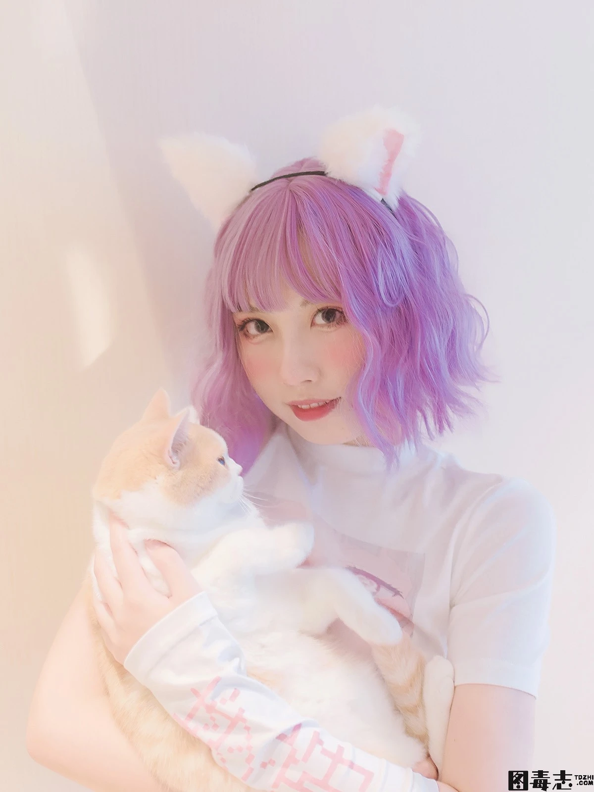 [念雪ww] NO.35 养猫守则-光影社区