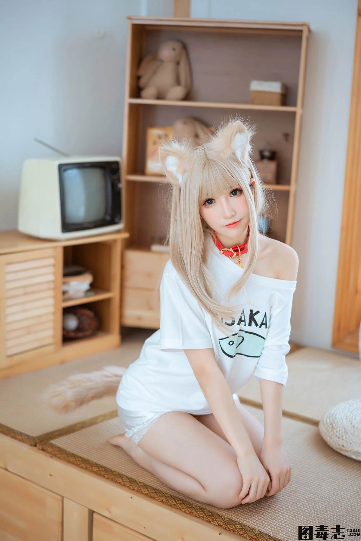 图片[2]-[衣衣] 40原猫娘 黄豆粉-光影社区