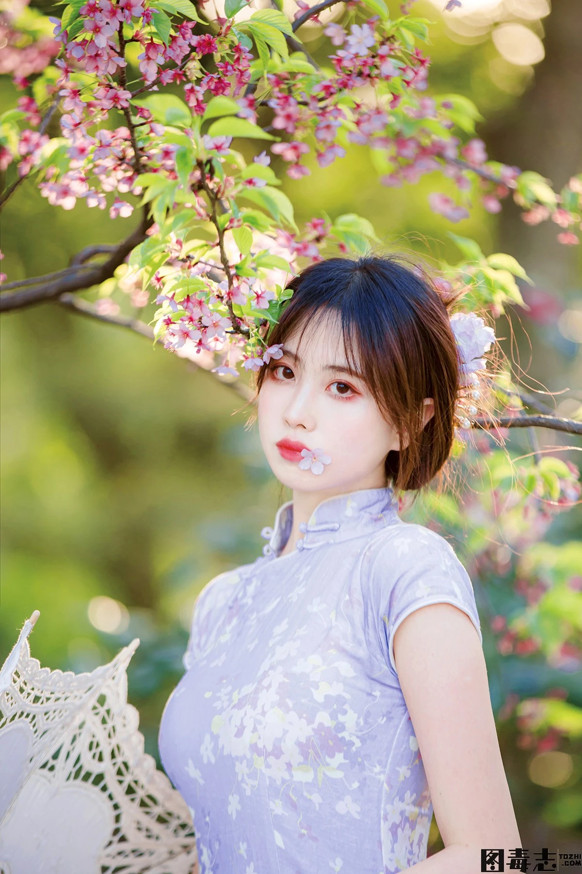 [念雪ww] NO.22 旗袍-光影社区