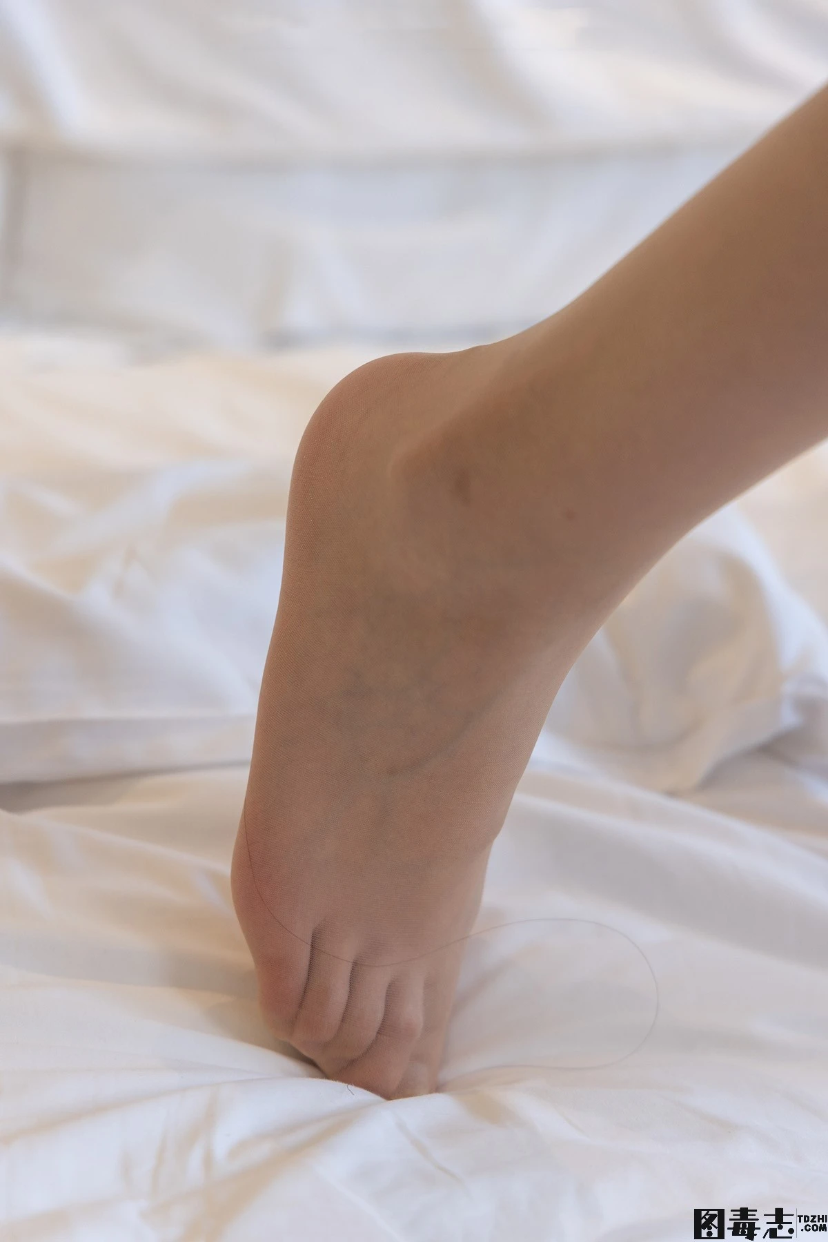 [BoBoSocks袜啵啵] No.320 小甜豆-高跟鞋、肉丝、ol风-光影社区