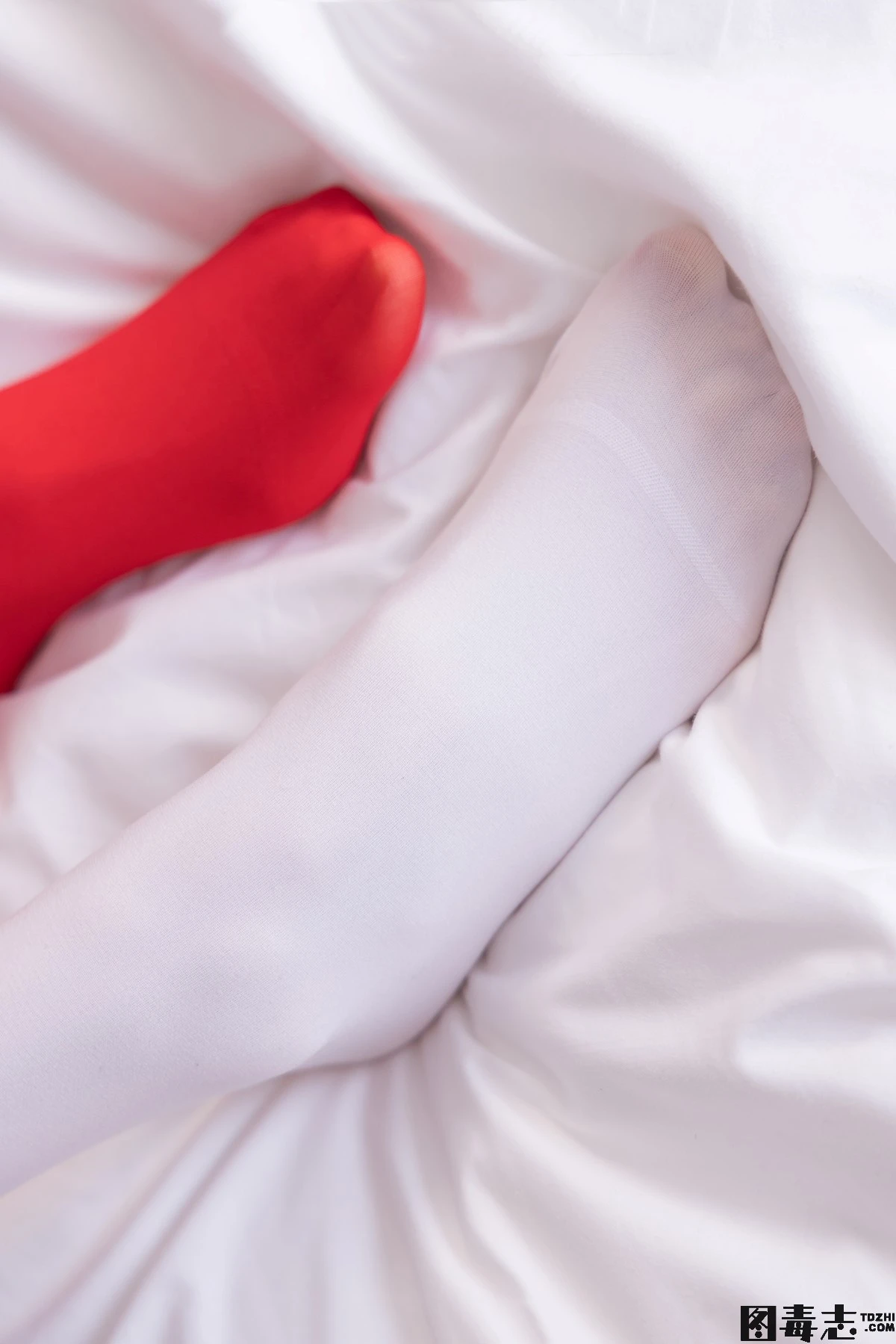 [BoBoSocks袜啵啵] No.152 稚予-圣诞服、帆布鞋、厚白丝、厚红丝-光影社区