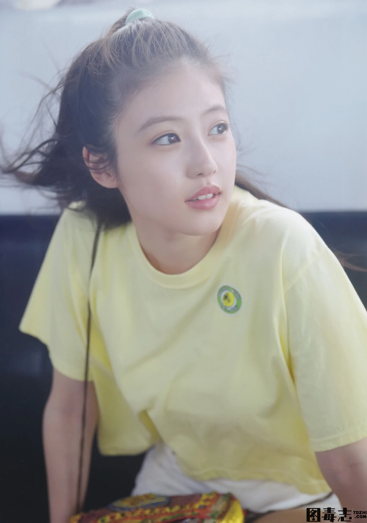 [紧急企划] 2022元旦赠送特刊-光影社区