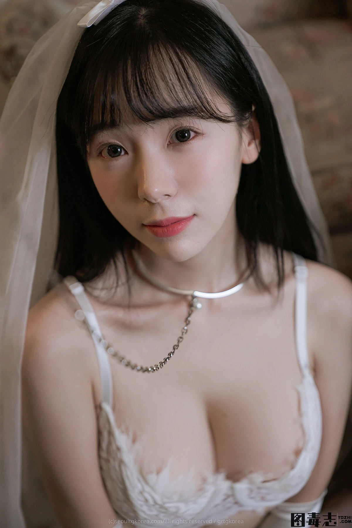 [STANGLE] Leeesovely-光影社区