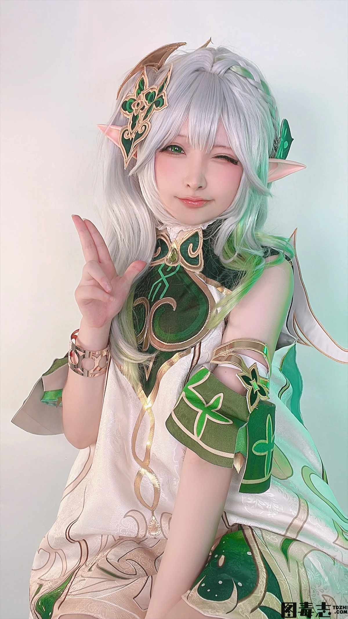 [樱梨梨] 小草神-光影社区