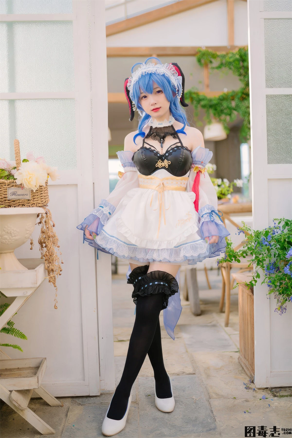 [花铃] 高叉小熊猫-光影社区