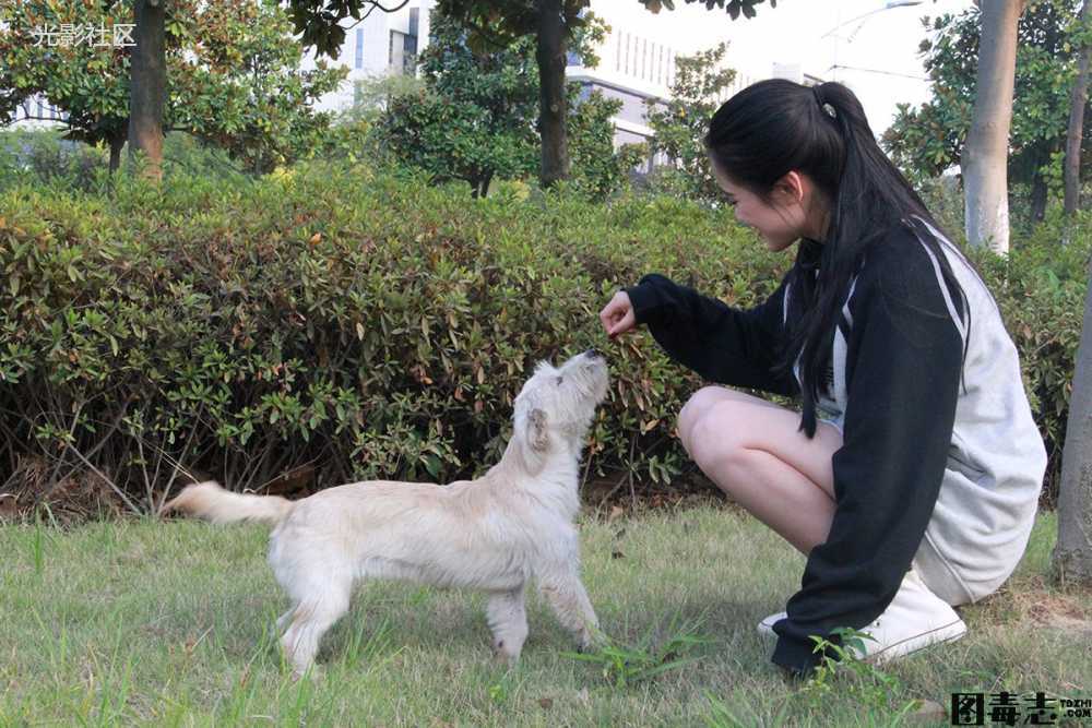 [最爱帆布鞋] 019-光影社区