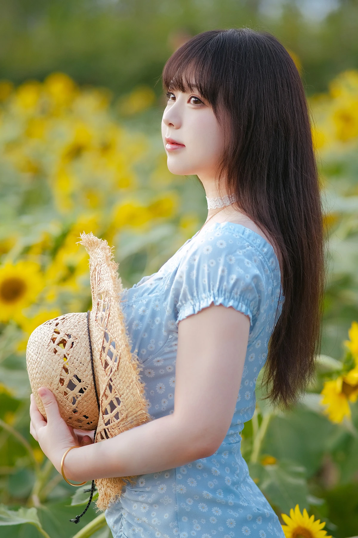 [皮皮奶可可爱了啦] 彼女向日葵-光影社区