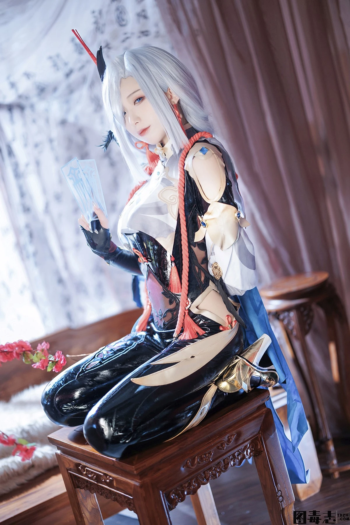 [封疆疆v] NO.25 大理 柴郡猫猫-光影社区