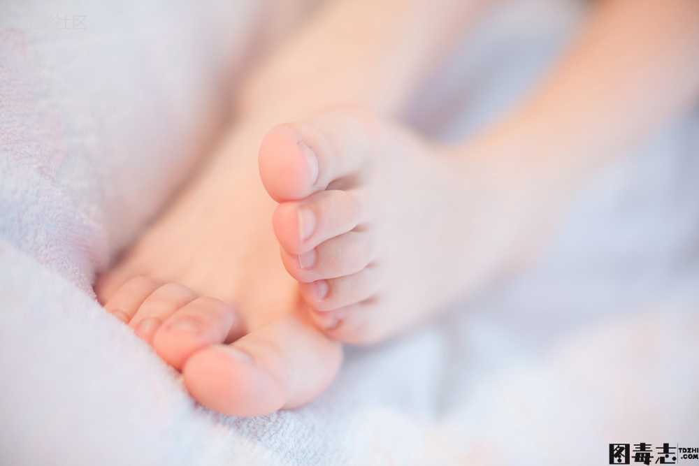 [森萝财团] X-008 毛衣黑丝-光影社区