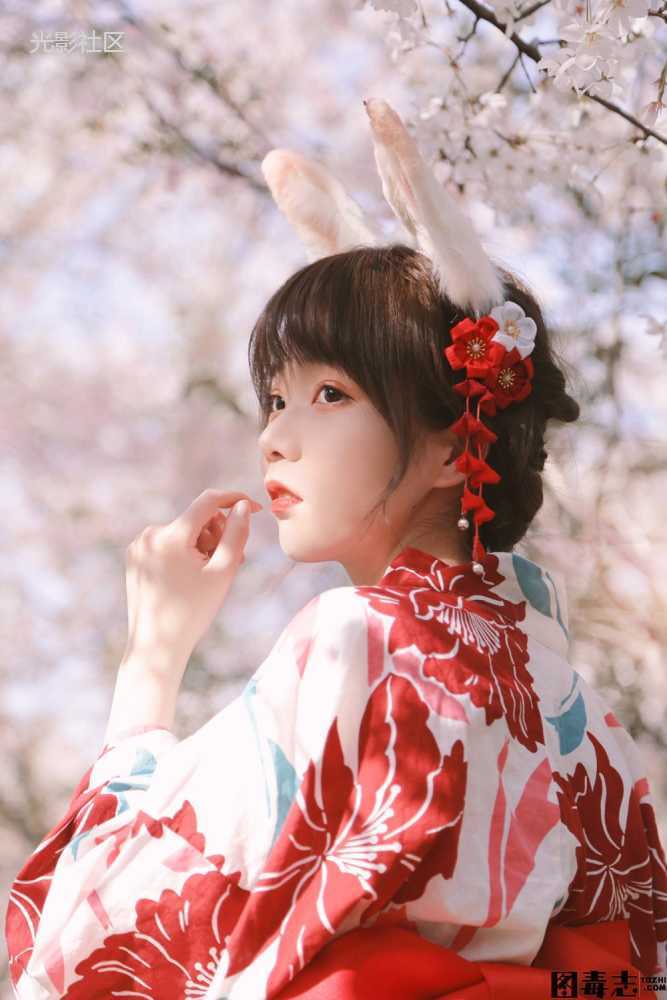 [Fushii_海堂] NO.017 樱花兔兔-光影社区