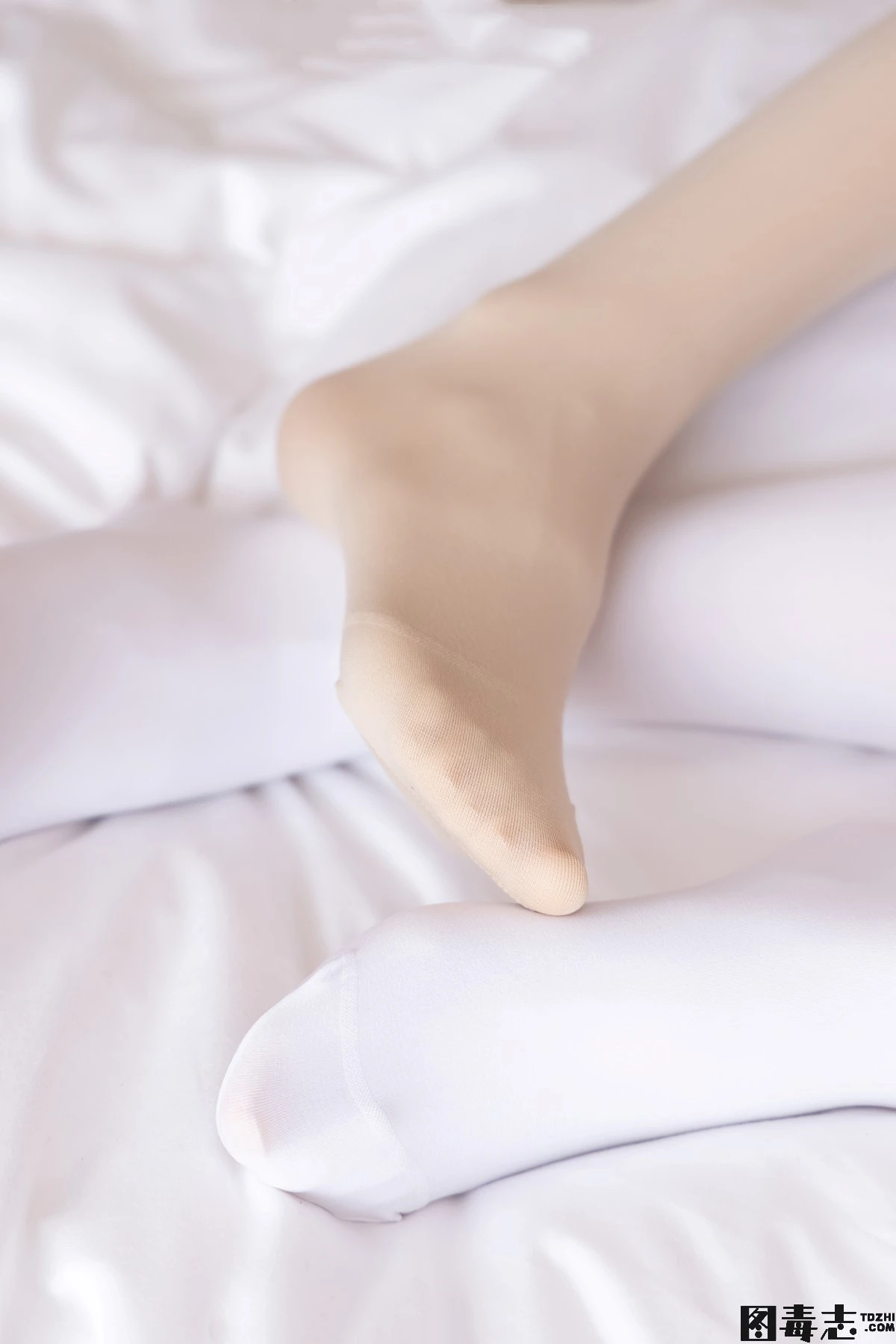 [BoBoSocks袜啵啵] No.054 小甜豆与稚予-给大家拜年啦-光影社区