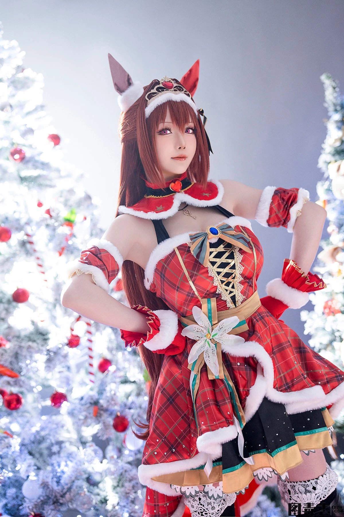 [星之迟迟] 赛马娘-光影社区