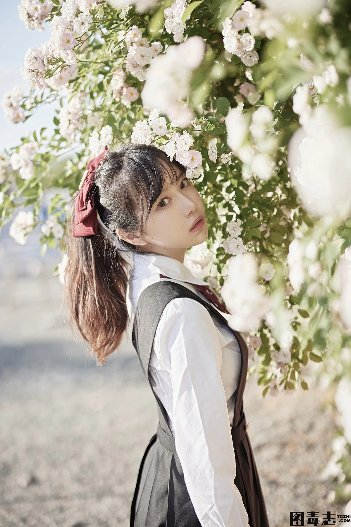 [Shika小鹿鹿] NO.75 蔷薇JK-光影社区