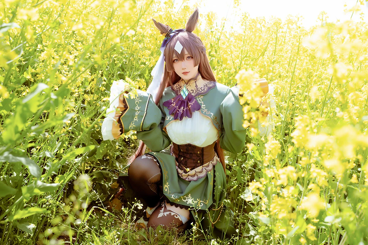 [星之迟迟] 赛马娘 里见光钻 梦想的回应-光影社区