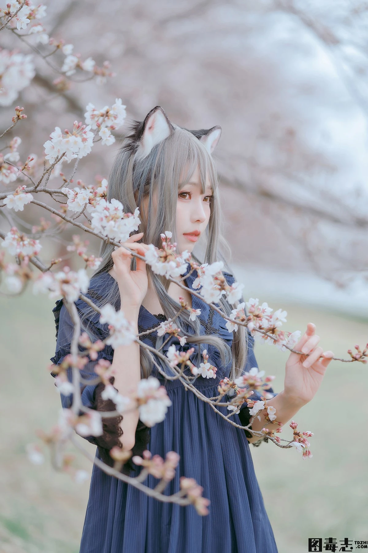 [ElyEE子] Sakura-光影社区