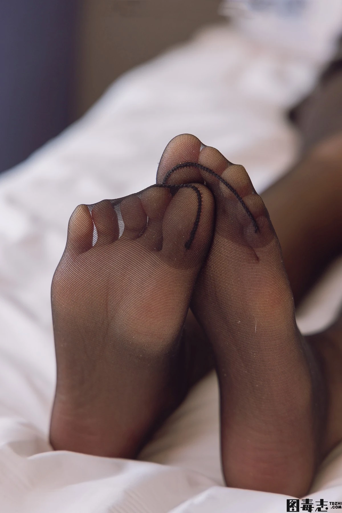 [BoBoSocks袜啵啵] No.203 三双靴子、黑丝、网袜-光影社区