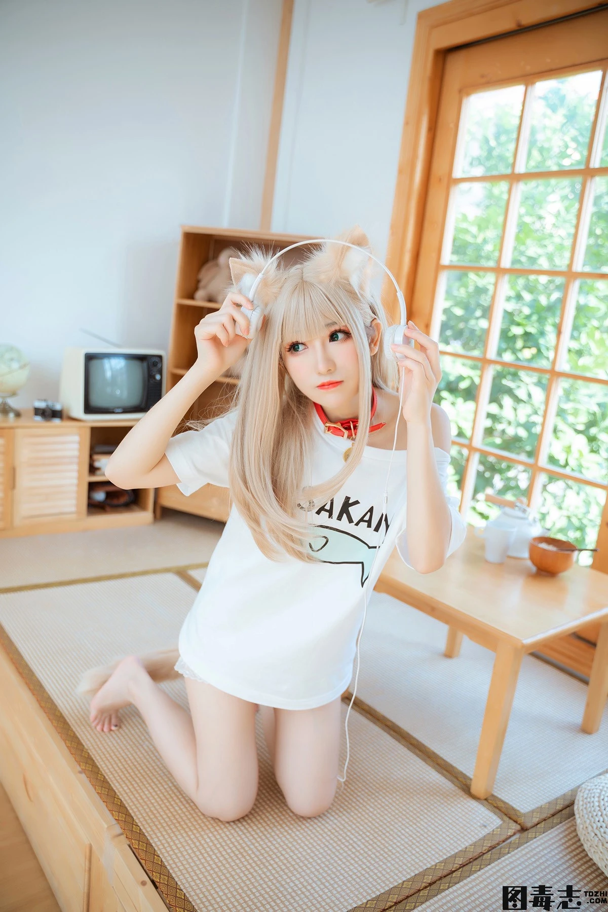 图片[3]-[衣衣] 40原猫娘 黄豆粉-光影社区