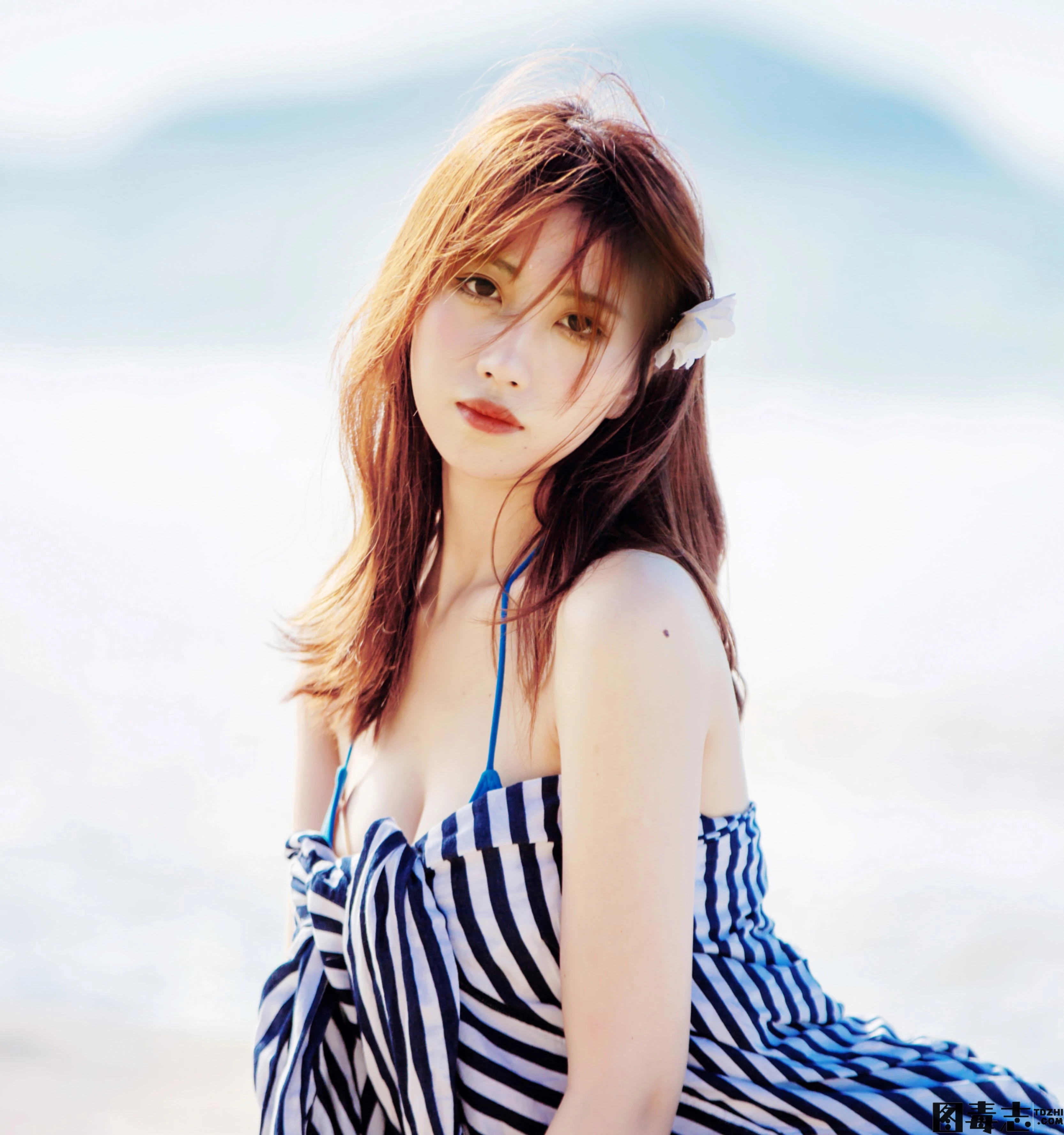 [念雪ww] NO.23 初夏-光影社区