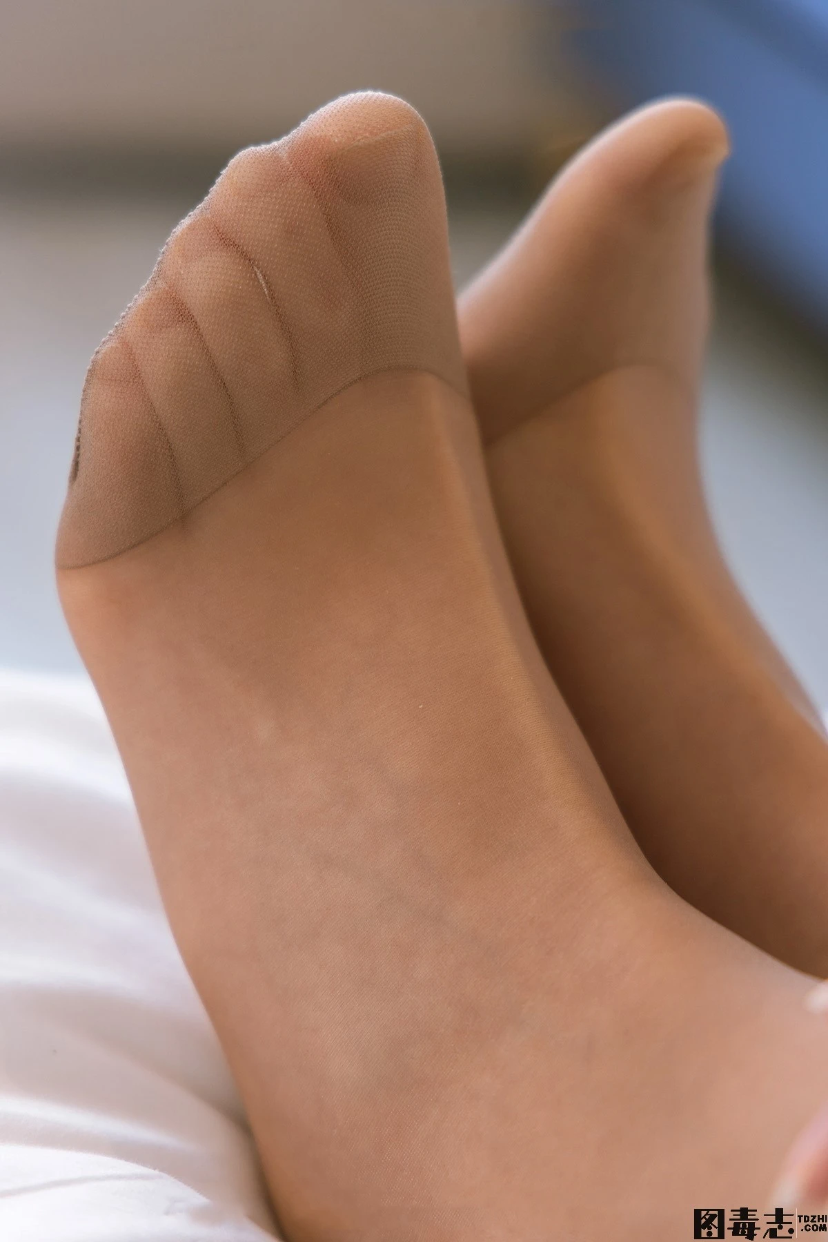 [BoBoSocks袜啵啵] No.159 小甜豆-平底鞋、咖啡丝、空姐制服-光影社区